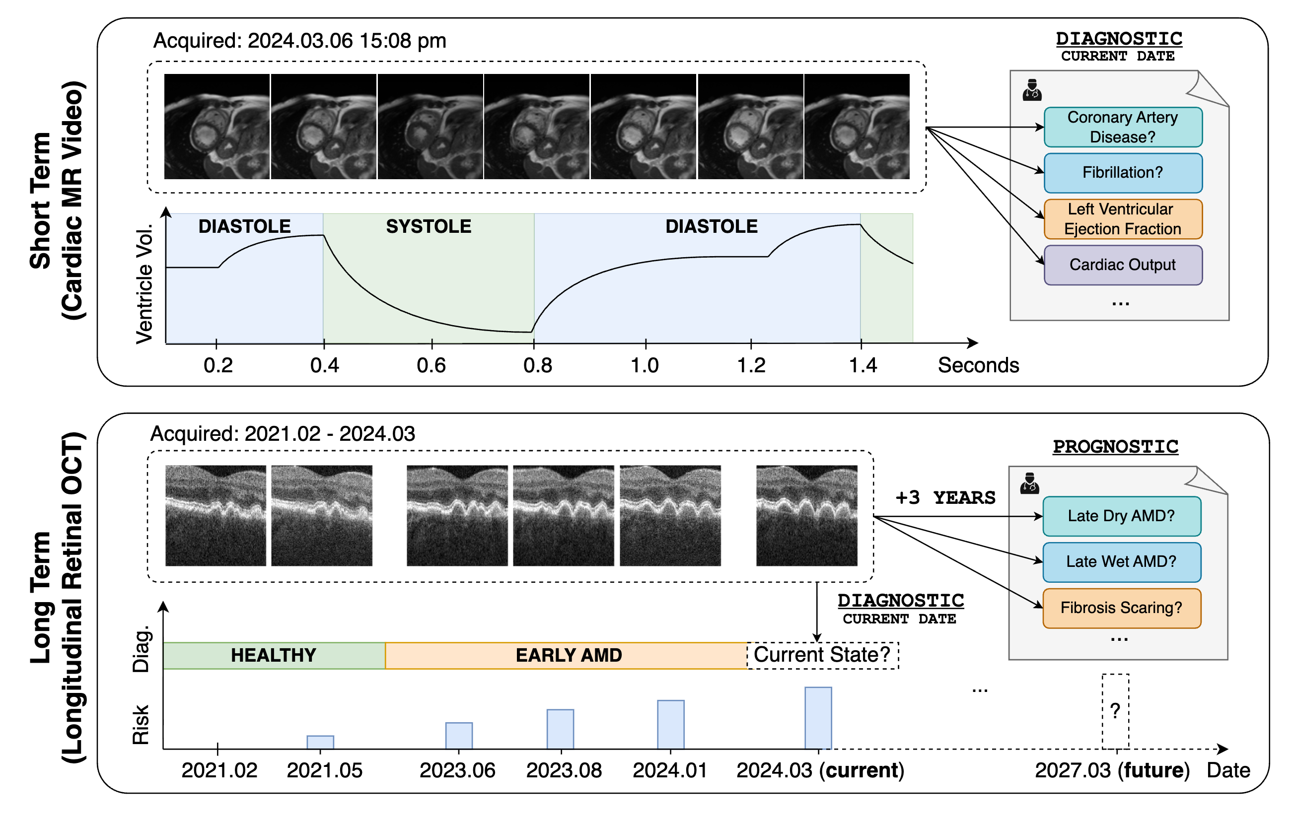 Spatiotemporal Representation Learning for Short and Long Medical Image Time Series